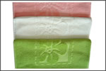 3A-T001